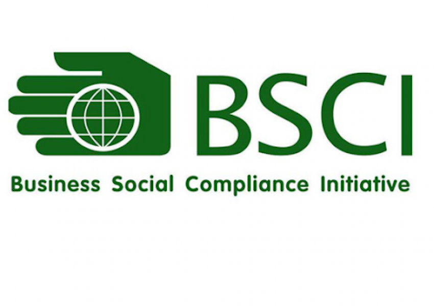 logo de la Business socialComplience initiative