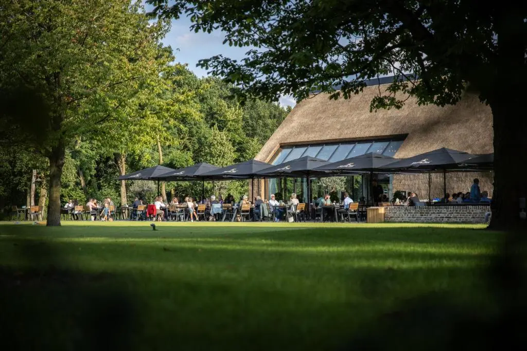 Hôtels et Yachts 42 table à manger 3